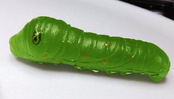 green gummy bug