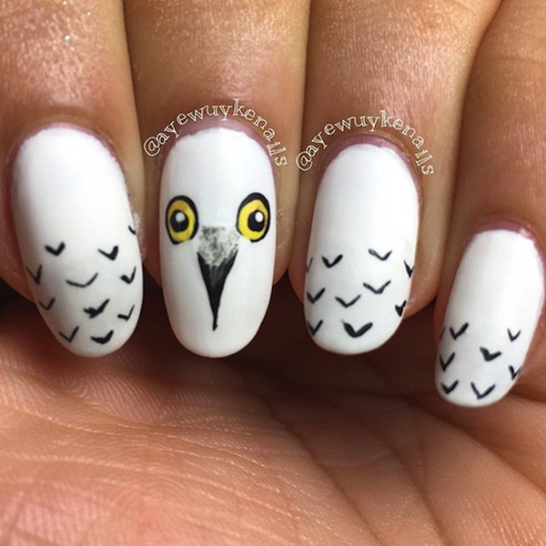 harry-owl
