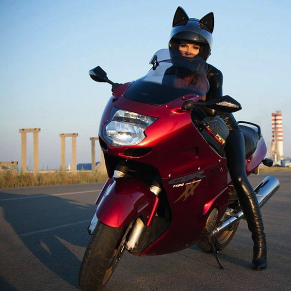 helmet-bike-cat