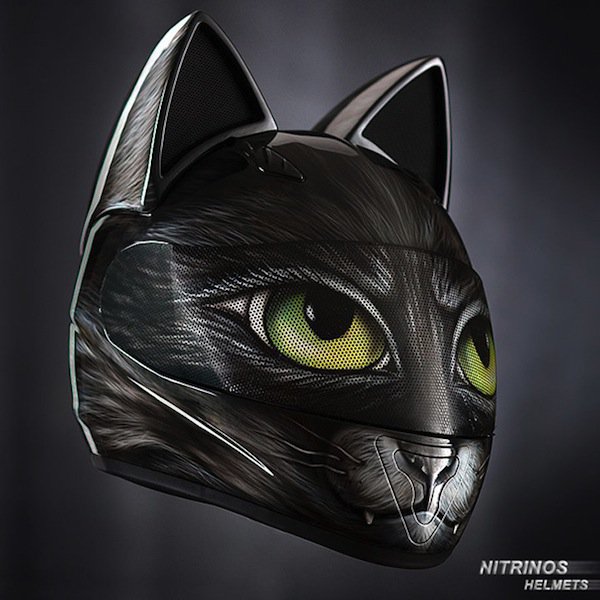 helmet-cat