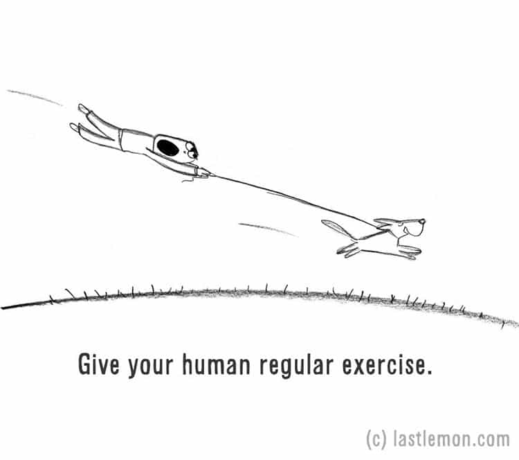 how-to-be-a-dog-exercise