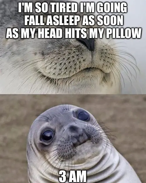 im so tired seal meme