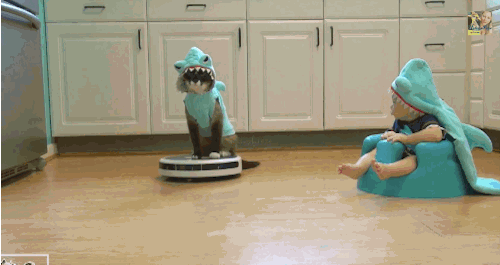 inanimate-objects-better-than-ex-robot-vacuum