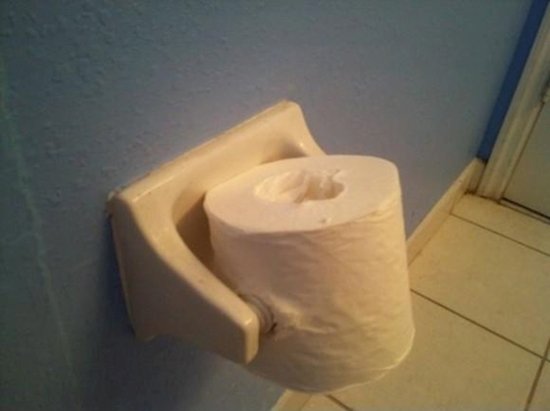 jerk-toilet-roll