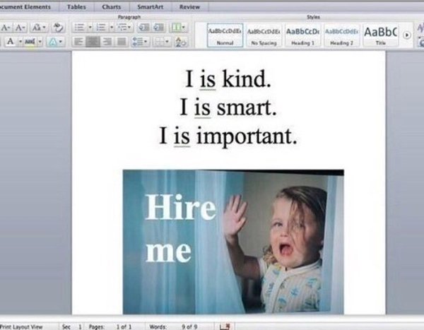 job-search-ridiculous-resume-write