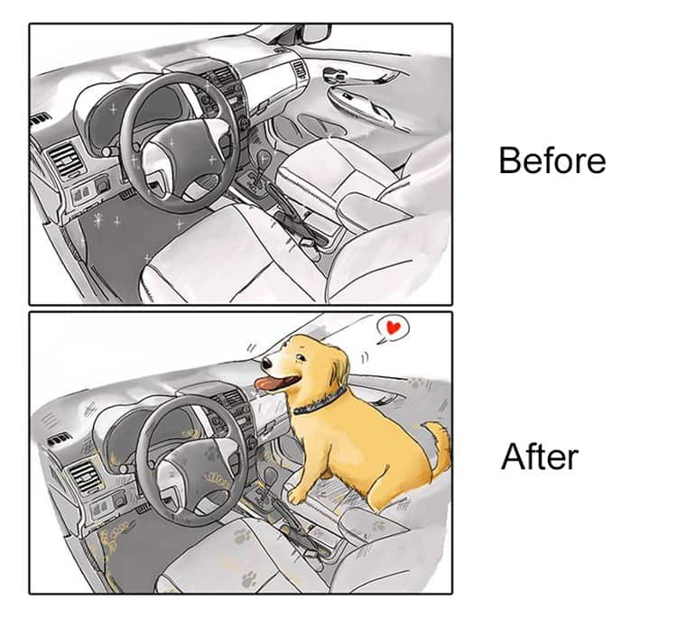 life-before-dog-vs-life-after-dog-car