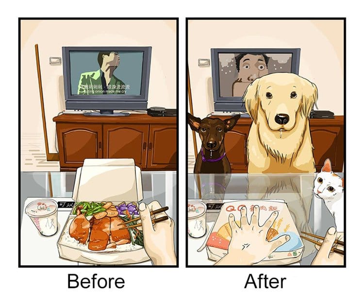 life-before-dog-vs-life-after-dog-food