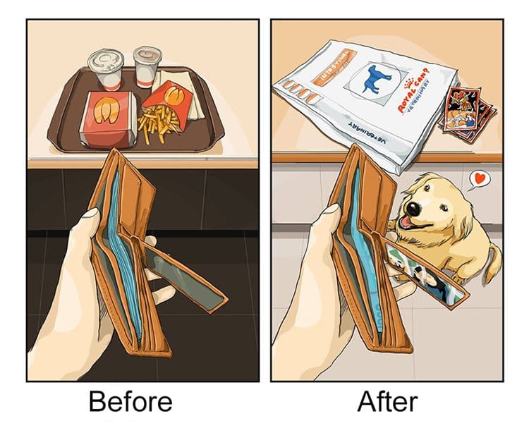 life-before-dog-vs-life-after-dog-money