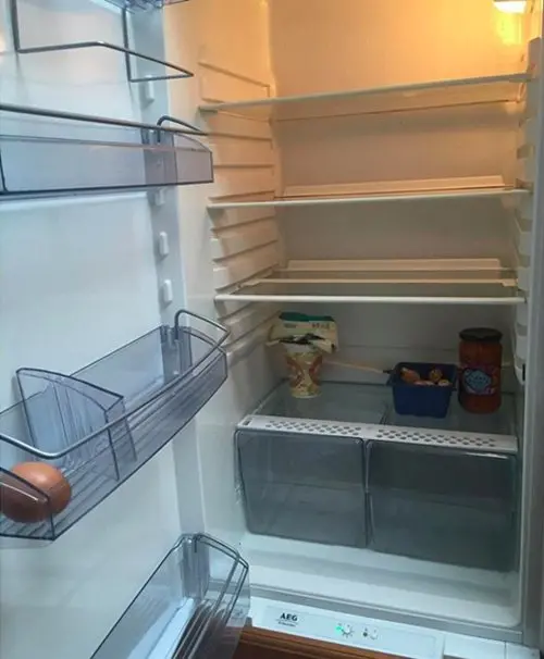 living-alone-problems-fridge