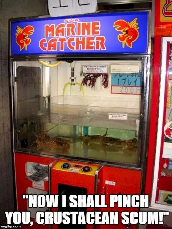 lobster vending machine
