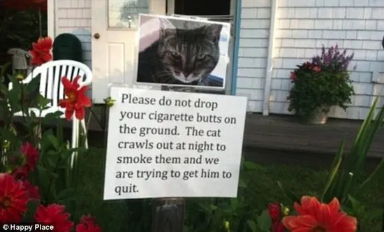 neighbors-cigs
