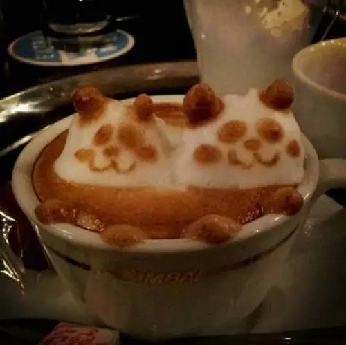 panda latte