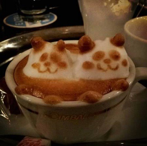 panda latte