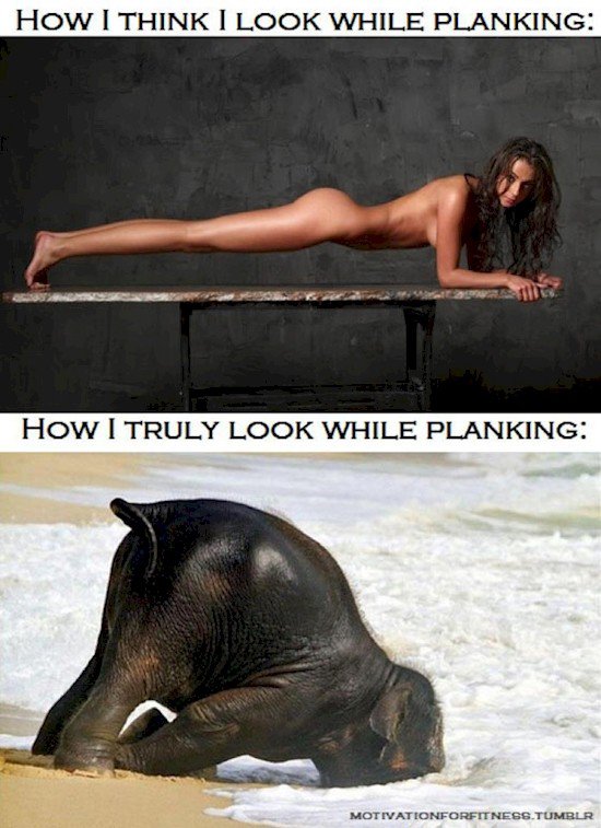 planking truths