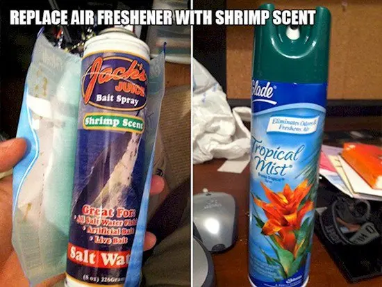 prank fish freshener