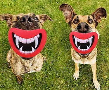 smiling fangs dog toy