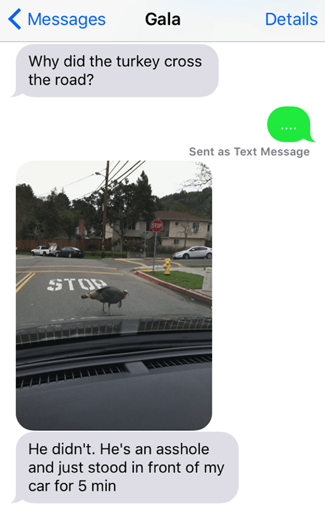 text-turkey