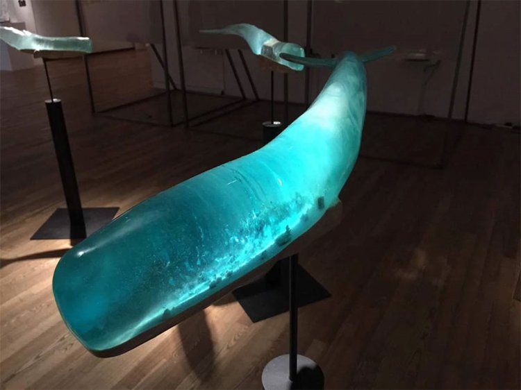 translucent-whale-sculptures-isana-yamada-circle