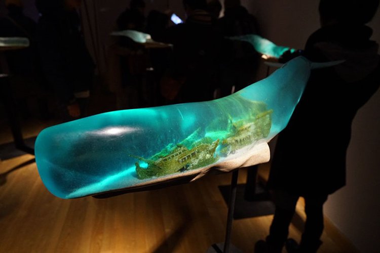 translucent-whale-sculptures-isana-yamada-exhibition