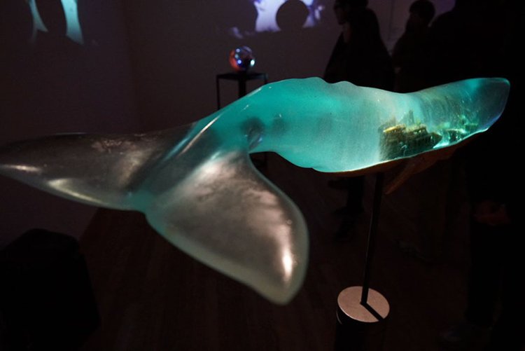 translucent-whale-sculptures-isana-yamada-fluke