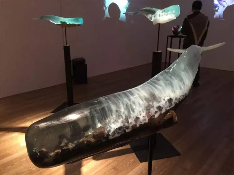 translucent-whale-sculptures-isana-yamada-rocks