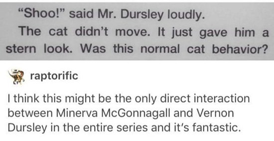 tumblr-harry-potter-cat