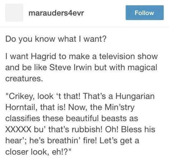 tumblr-harry-potter-hagrid