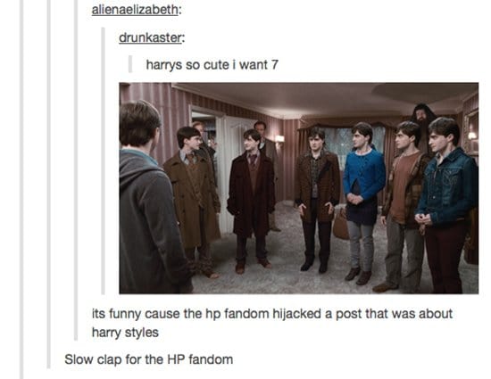 tumblr-harry-potter-seven