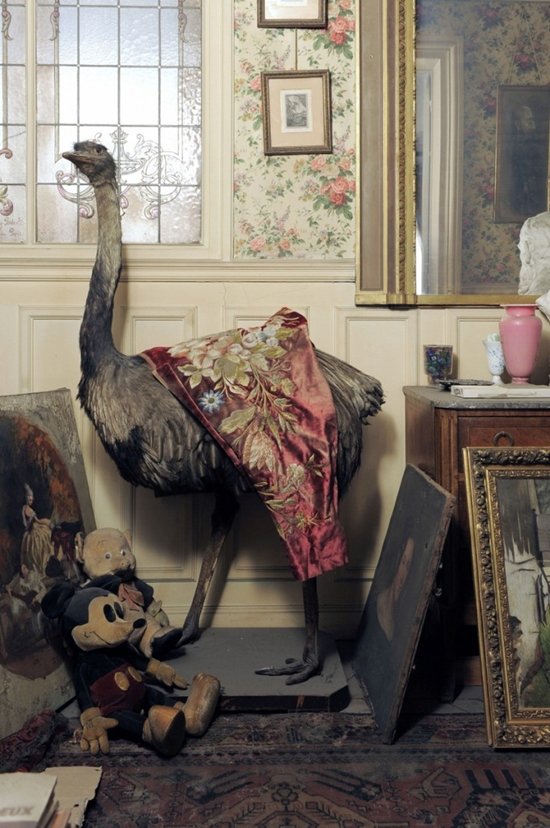 untouched-paris-apartment-discovered-after-70-years-ostrich