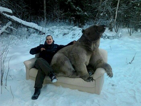 weird-russian-winters-bear