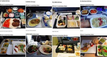 Airplane Food Economy First Class