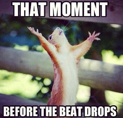 Beat Drops