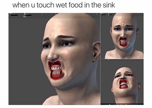 Food In Sink