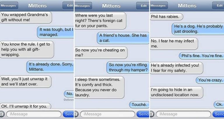 Hilarious Texts Cat
