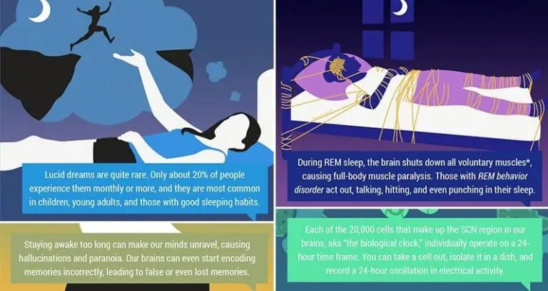 12 Interesting Facts About Sleep That You Probably Never Knew Interesting Facts Sleep
