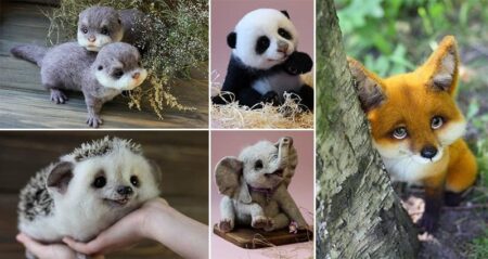 Most Adorable Toy Animals