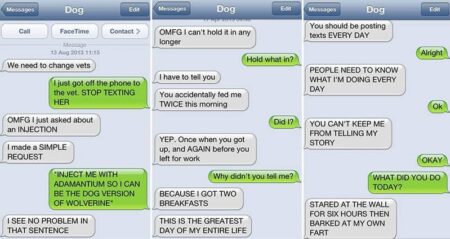 Most Hilarious Text From Dog