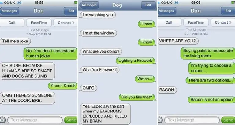 Most Hilarious Texts From Dog