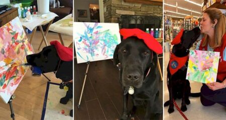 Paintings Talented Canine Dogvinci