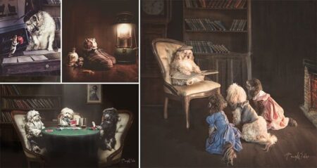 Pets In Human Situations Tracy Willis