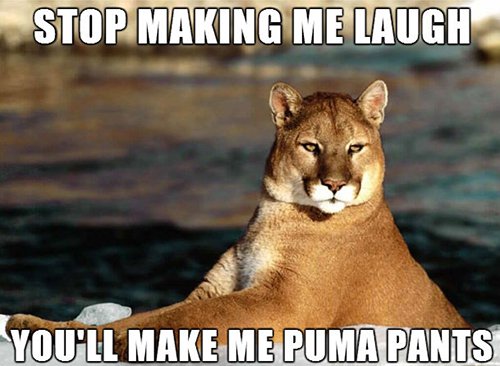 Puma Pants