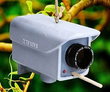 Security Camera Birdhouse