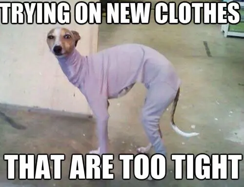14 Amusing Clothes Related Images We Can All Identify With.
