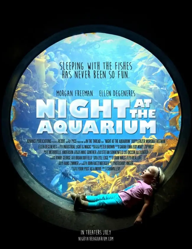 aquarium night