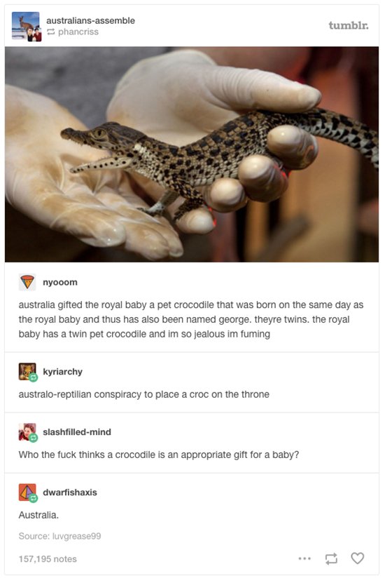 australian-wildlife-croc