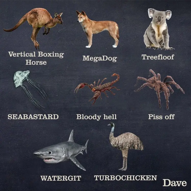 better-names-animals