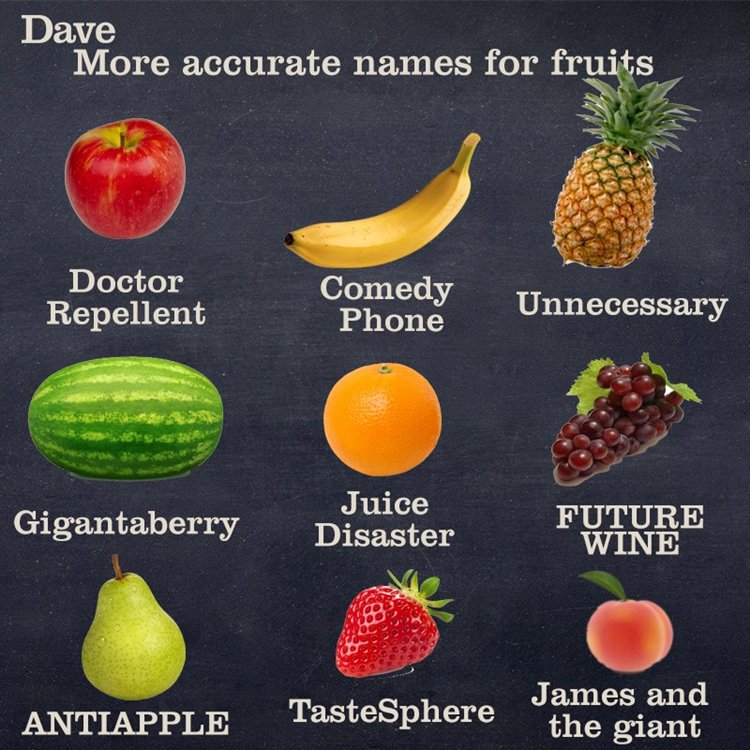 8 Funny Images Giving Better Names To Foods Animals And More