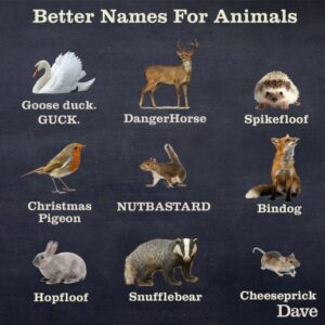 8 Funny Images Giving Better Names To Foods, Animals And More
