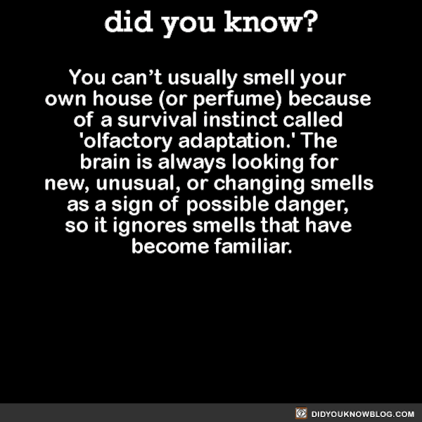you cant usually smell your own house