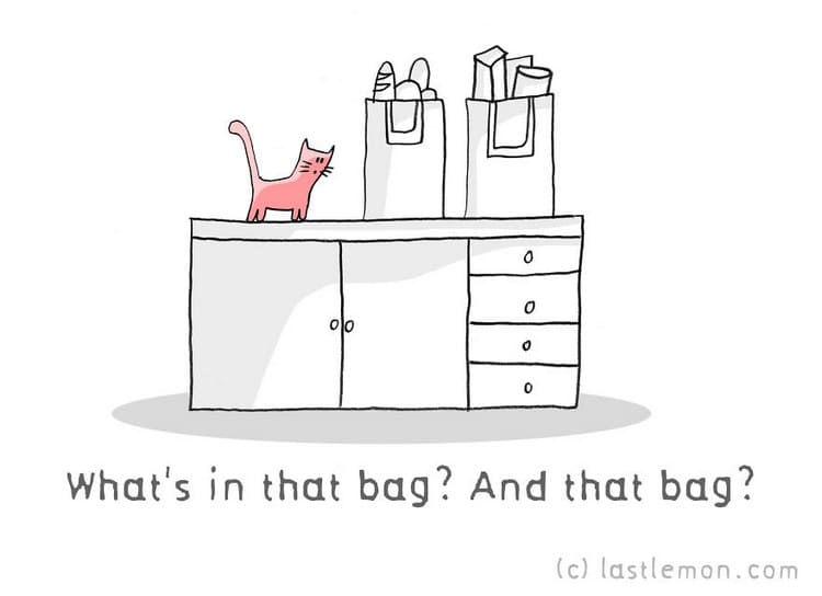 cat bag